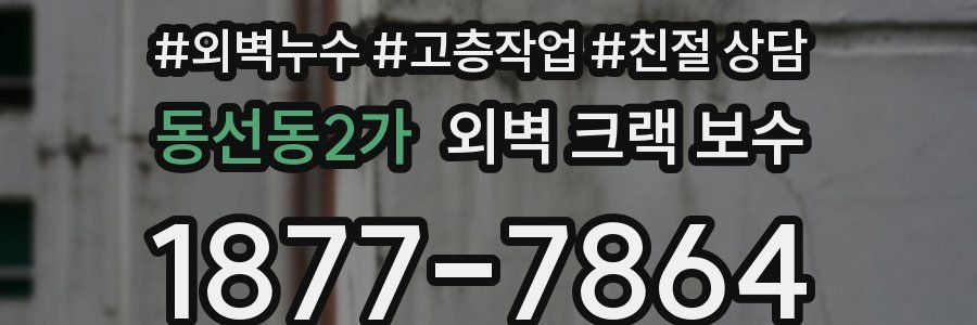 동선동2가 외벽 크랙 보수