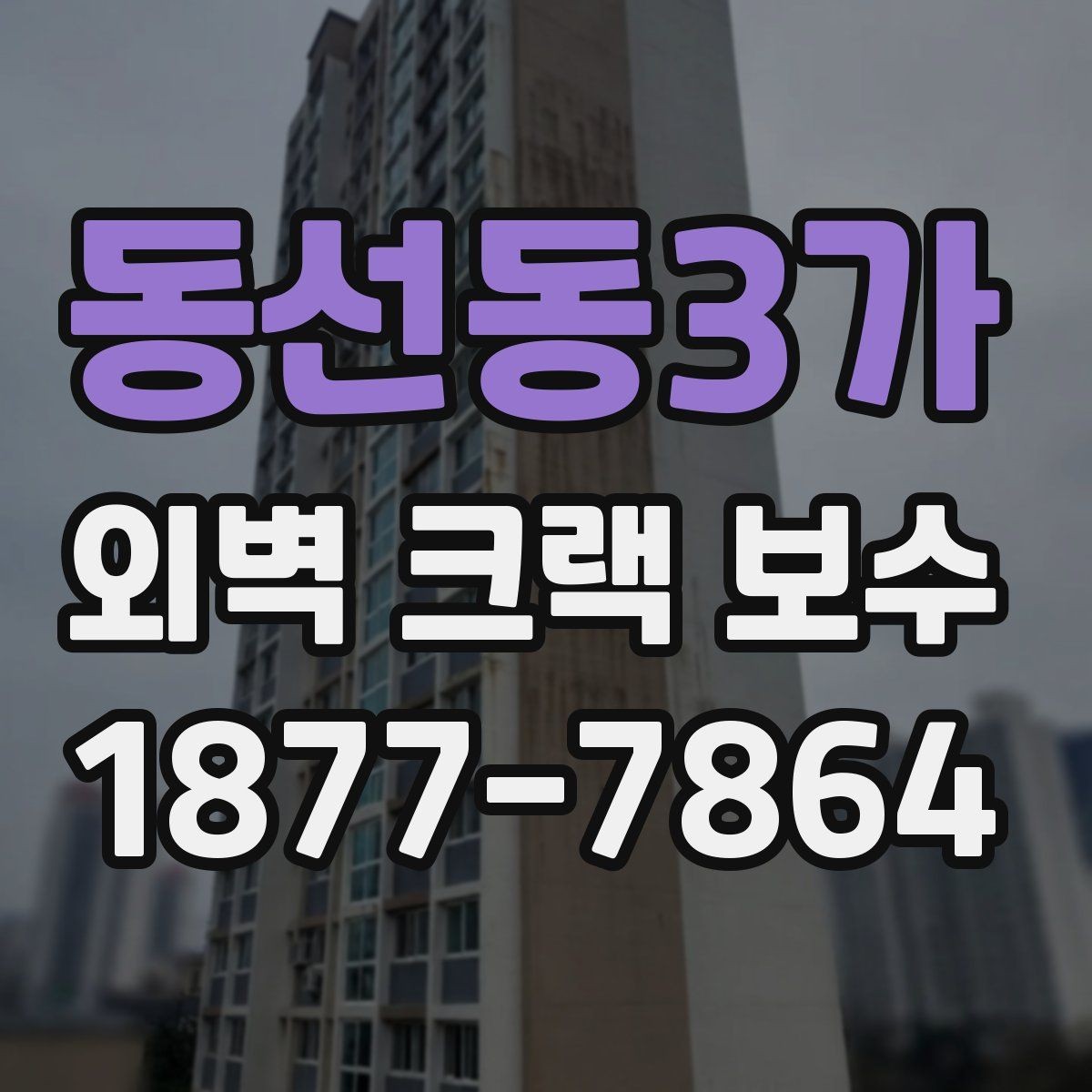 동선동3가 외벽 크랙 보수 공법 선택 시 비교할 요소