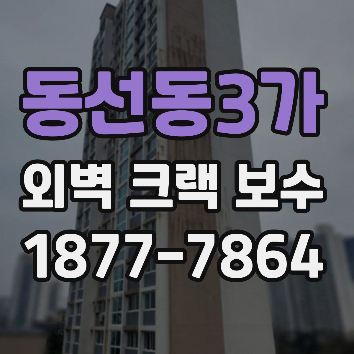 동선동3가 외벽 크랙 보수