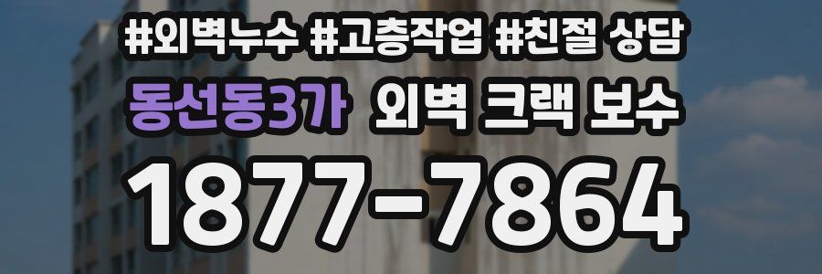 동선동3가 외벽 크랙 보수