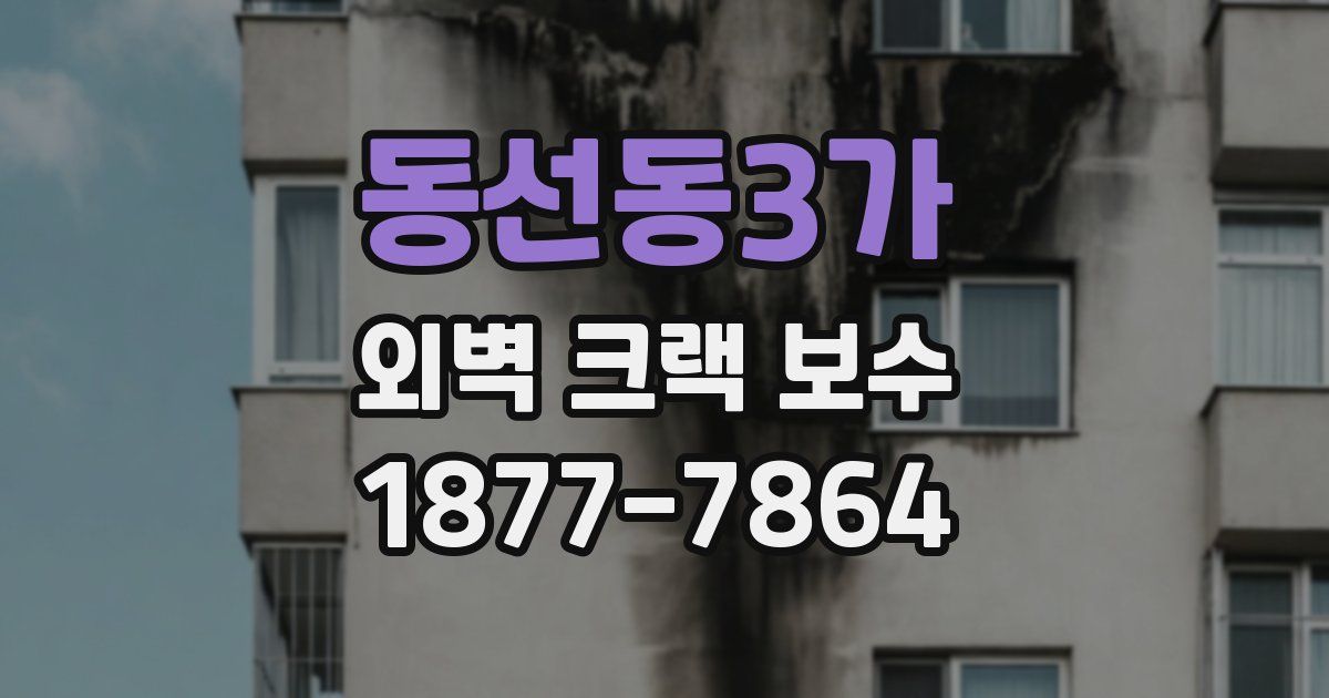 동선동3가 외벽 크랙 보수