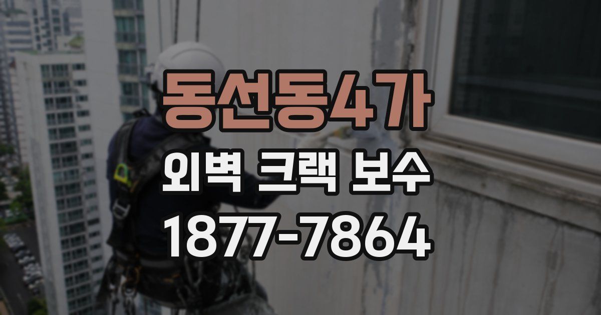 동선동4가 외벽 크랙 보수