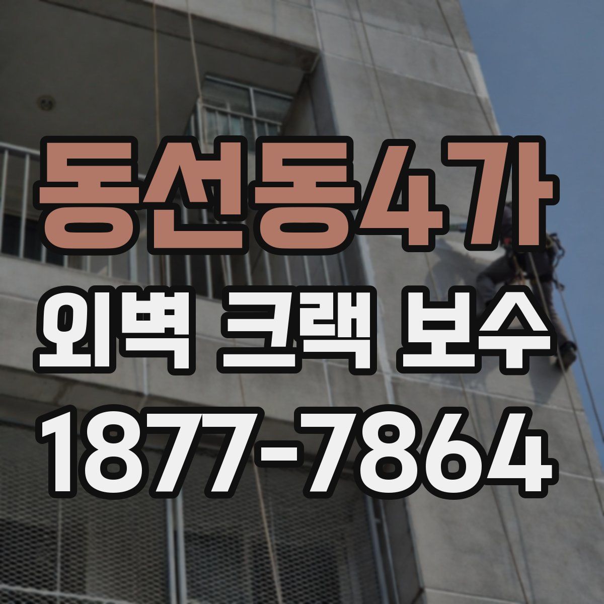 동선동4가 외벽 크랙 보수