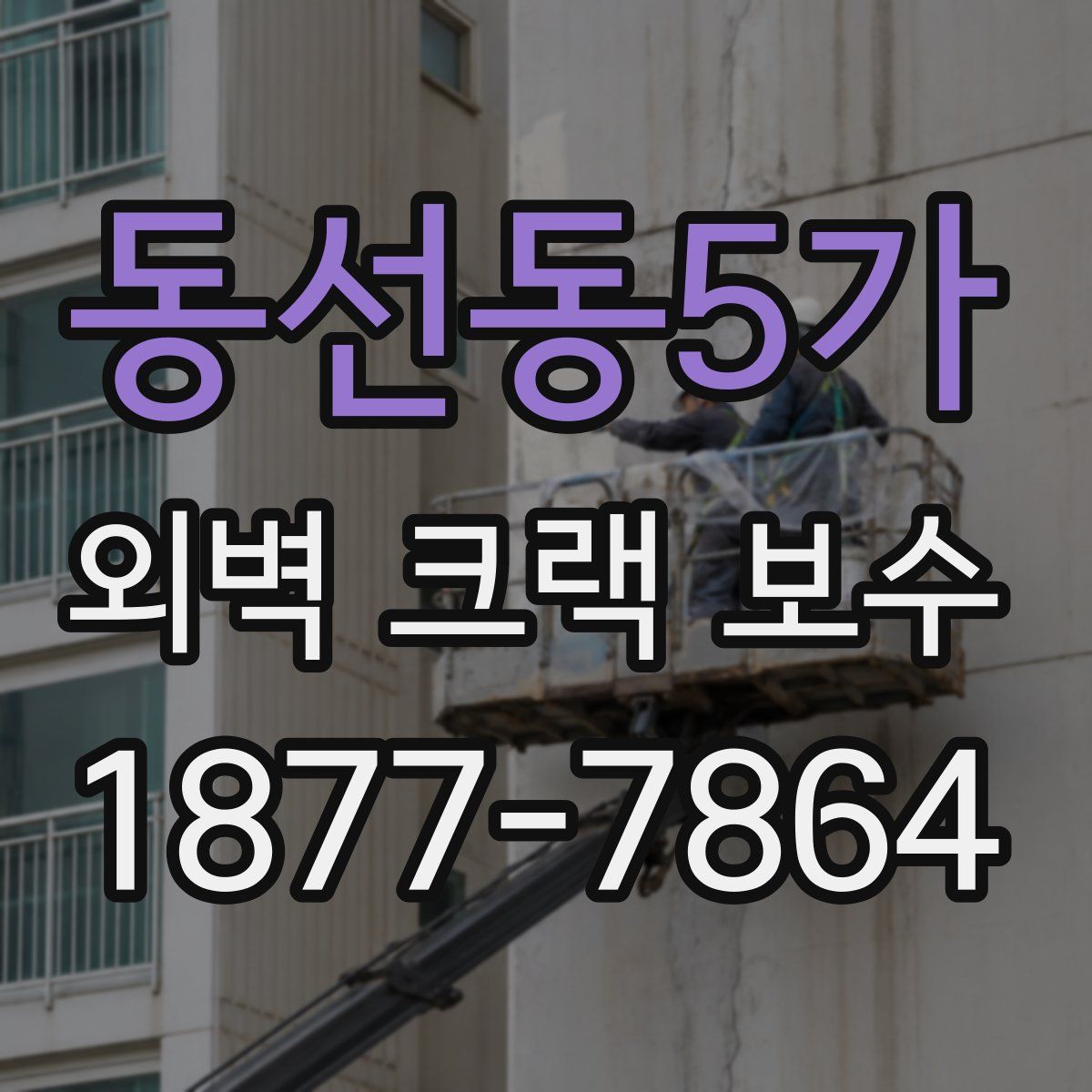 동선동5가 외벽 크랙 보수