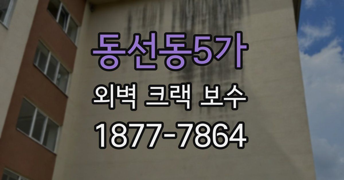 동선동5가 외벽 크랙 보수