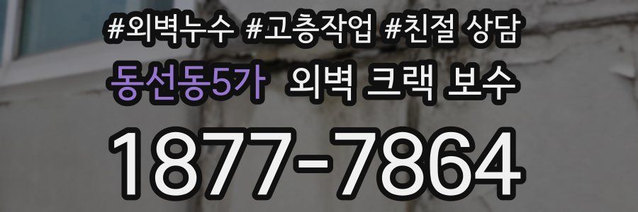 동선동5가 외벽 크랙 보수