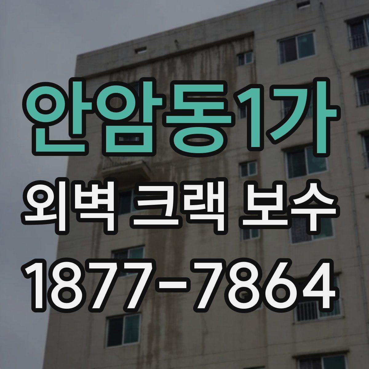 안암동1가 외벽 크랙 보수 종류와 적용 범위