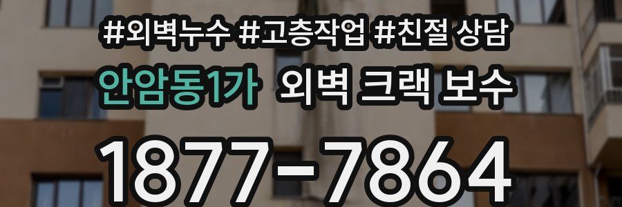 안암동1가 외벽 크랙 보수