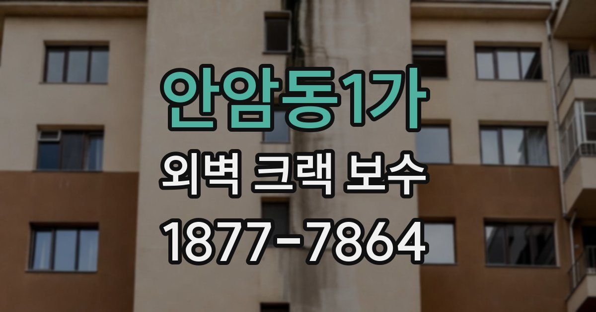 안암동1가 외벽 크랙 보수