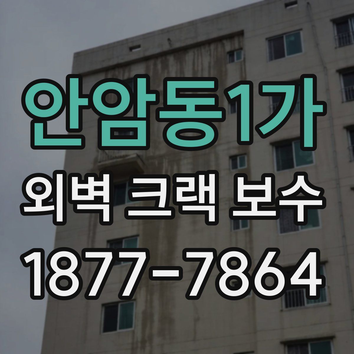 안암동1가 외벽 크랙 보수