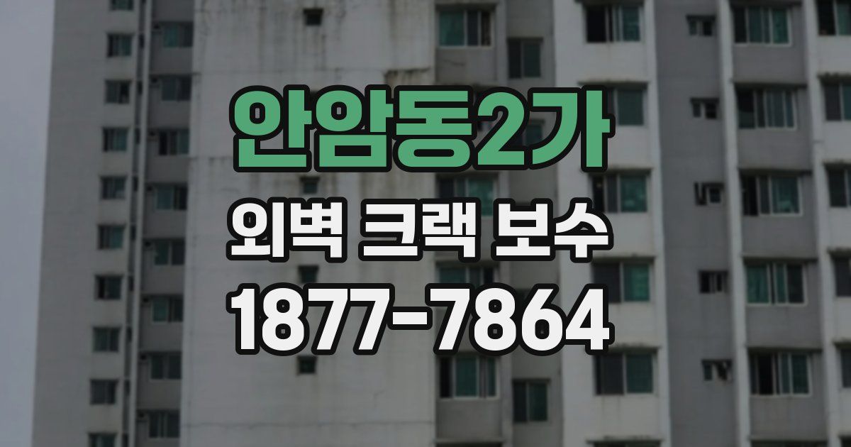 안암동2가 외벽 크랙 보수