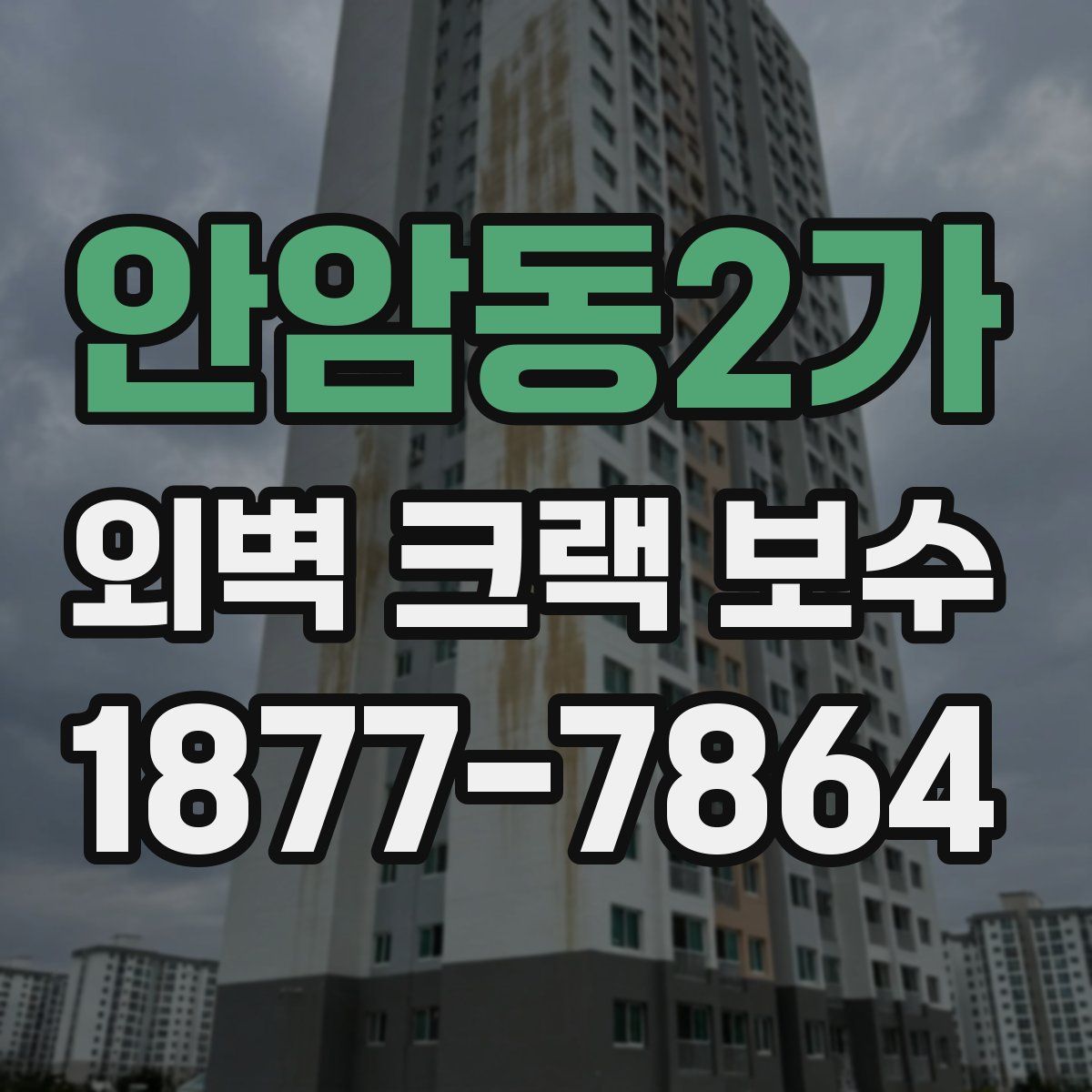 안암동2가 외벽 크랙 보수