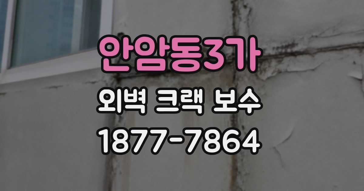 안암동3가 외벽 크랙 보수