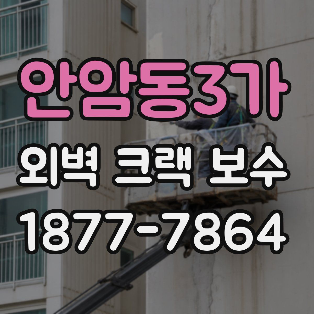 안암동3가 외벽 크랙 보수