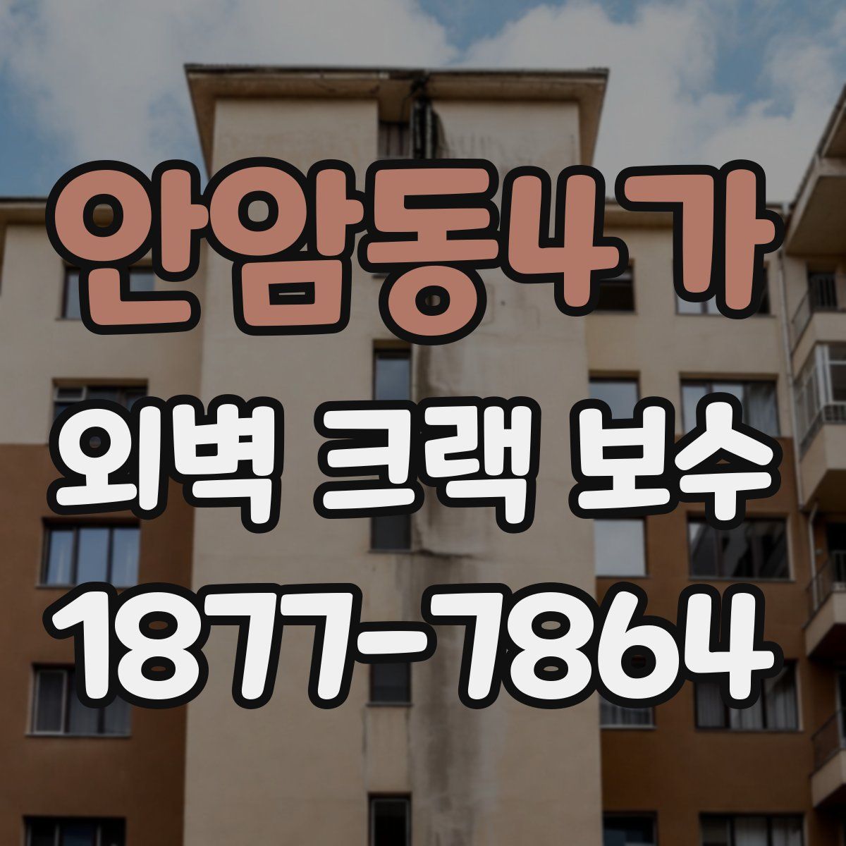 안암동4가 외벽 크랙 보수