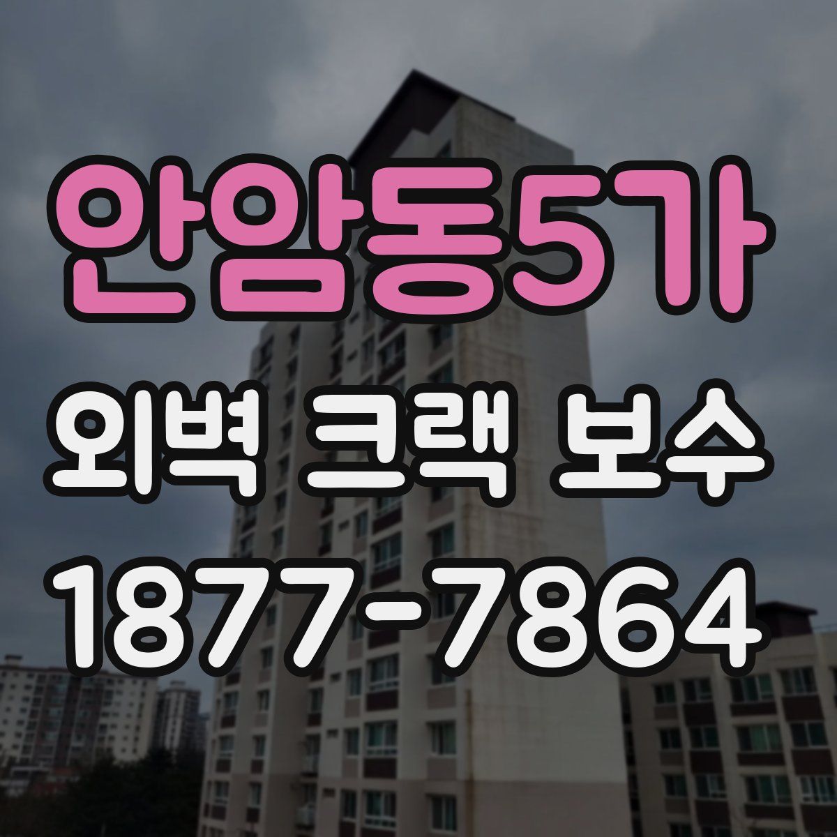 안암동5가 외벽 크랙 보수