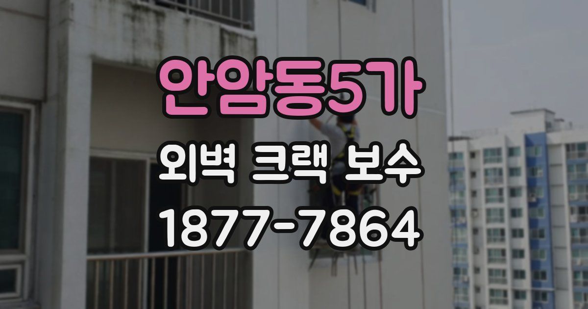 안암동5가 외벽 크랙 보수