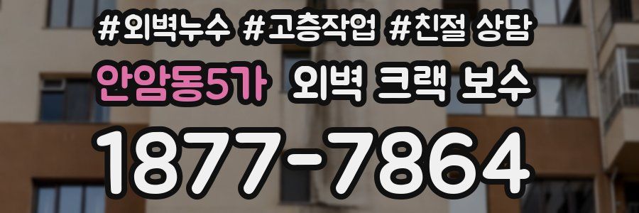 안암동5가 외벽 크랙 보수