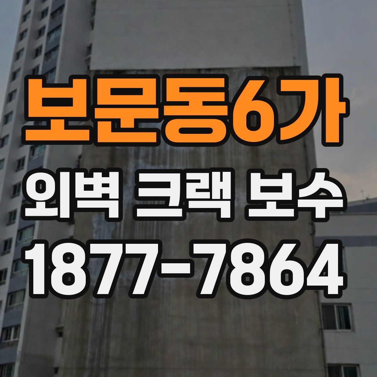 보문동6가 외벽 크랙 보수