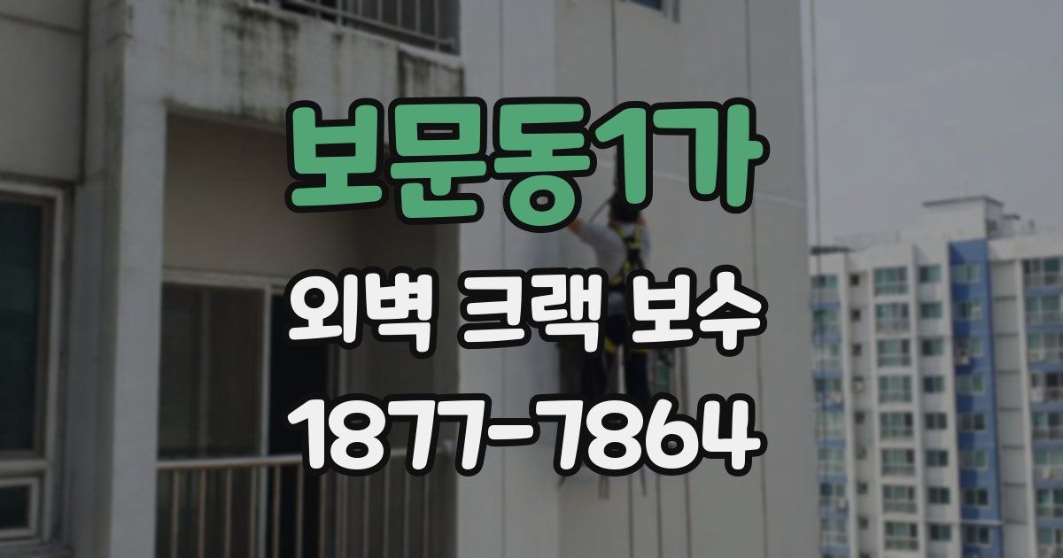 보문동1가 외벽 크랙 보수
