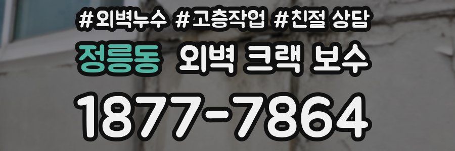 정릉동 외벽 크랙 보수