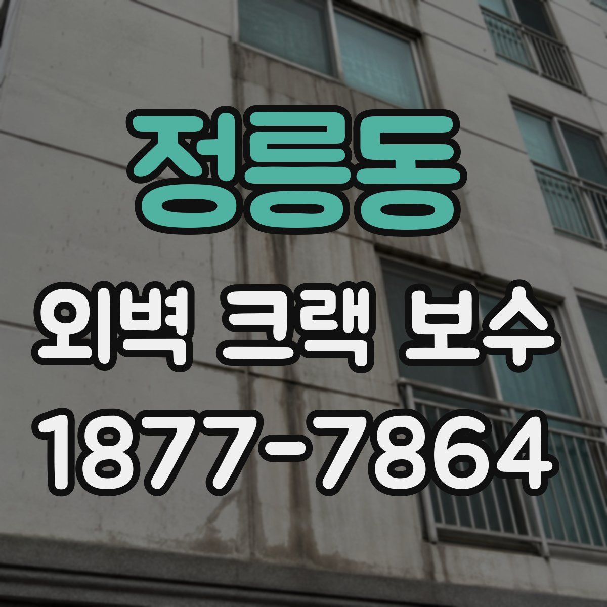 정릉동 외벽 크랙 보수