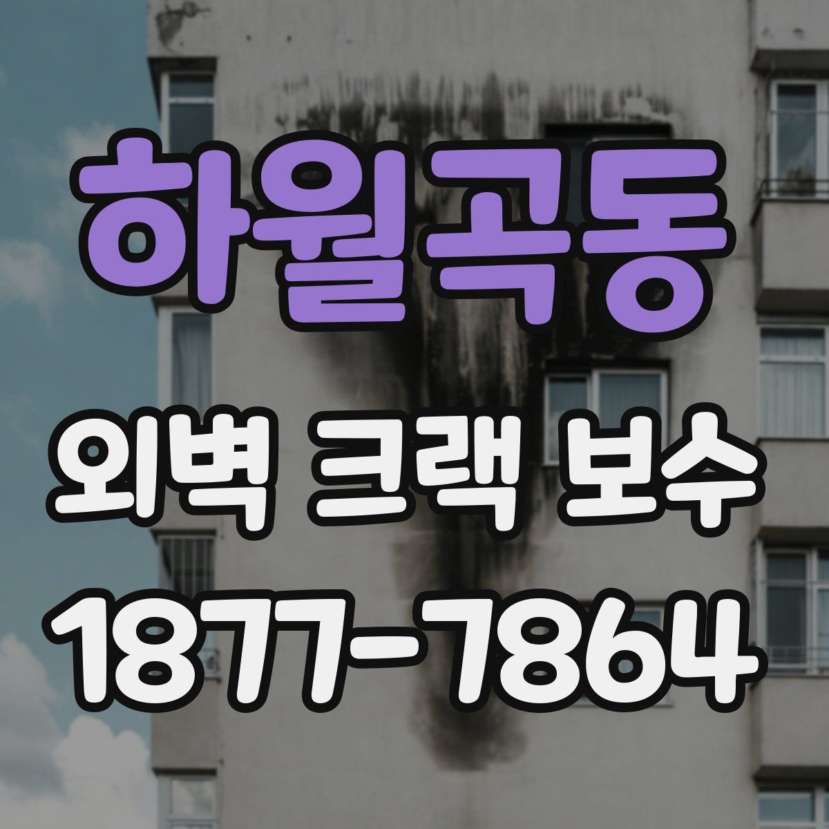 하월곡동 외벽 크랙 보수