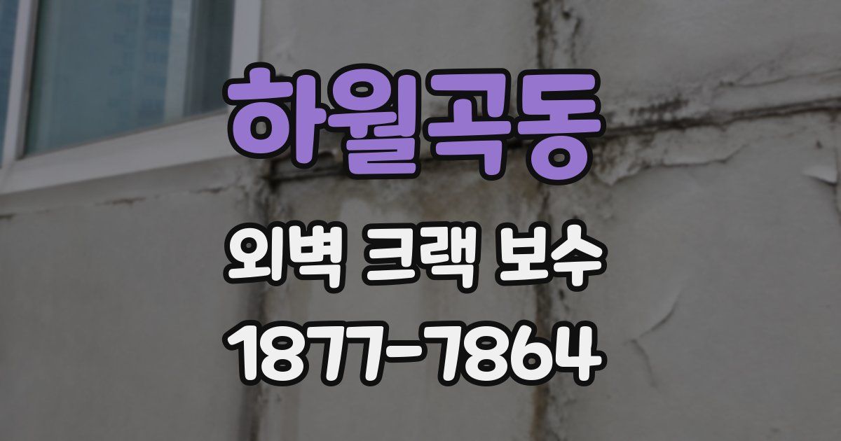 하월곡동 외벽 크랙 보수