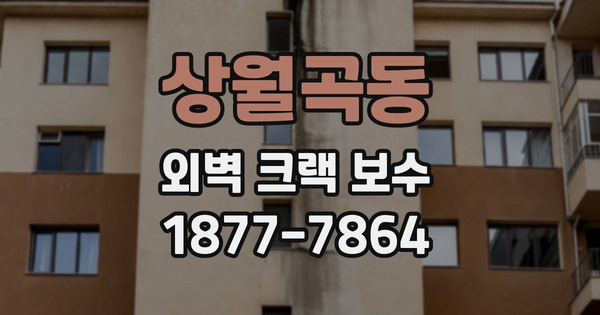 상월곡동 외벽 크랙 보수