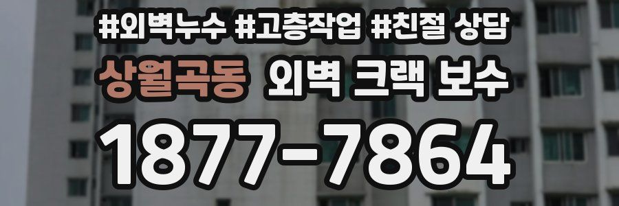 상월곡동 외벽 크랙 보수