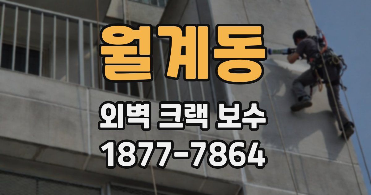 월계동 외벽 크랙 보수