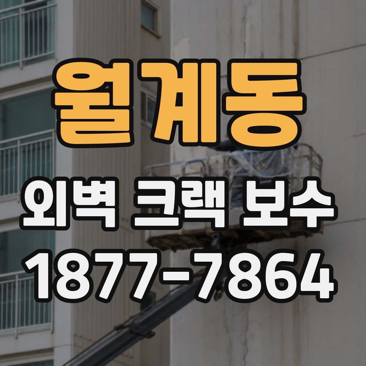 월계동 외벽 크랙 보수