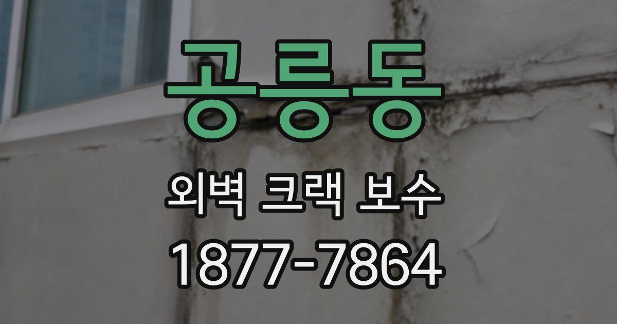 공릉동 외벽 크랙 보수