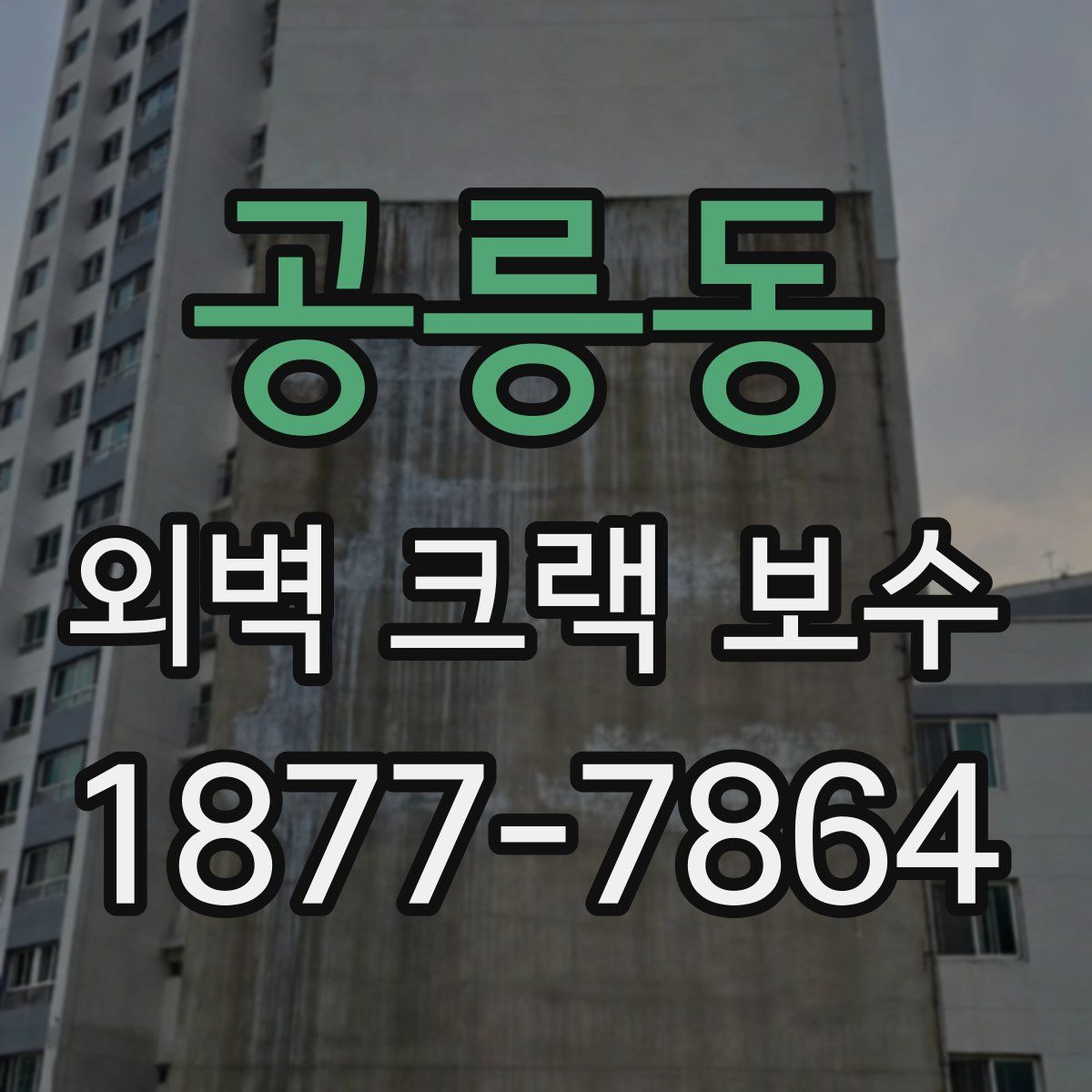 공릉동 외벽 크랙 보수