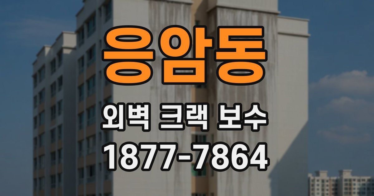 응암동 외벽 크랙 보수