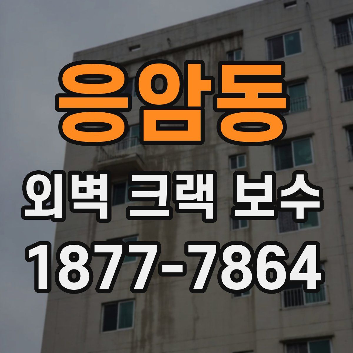 응암동 외벽 크랙 보수