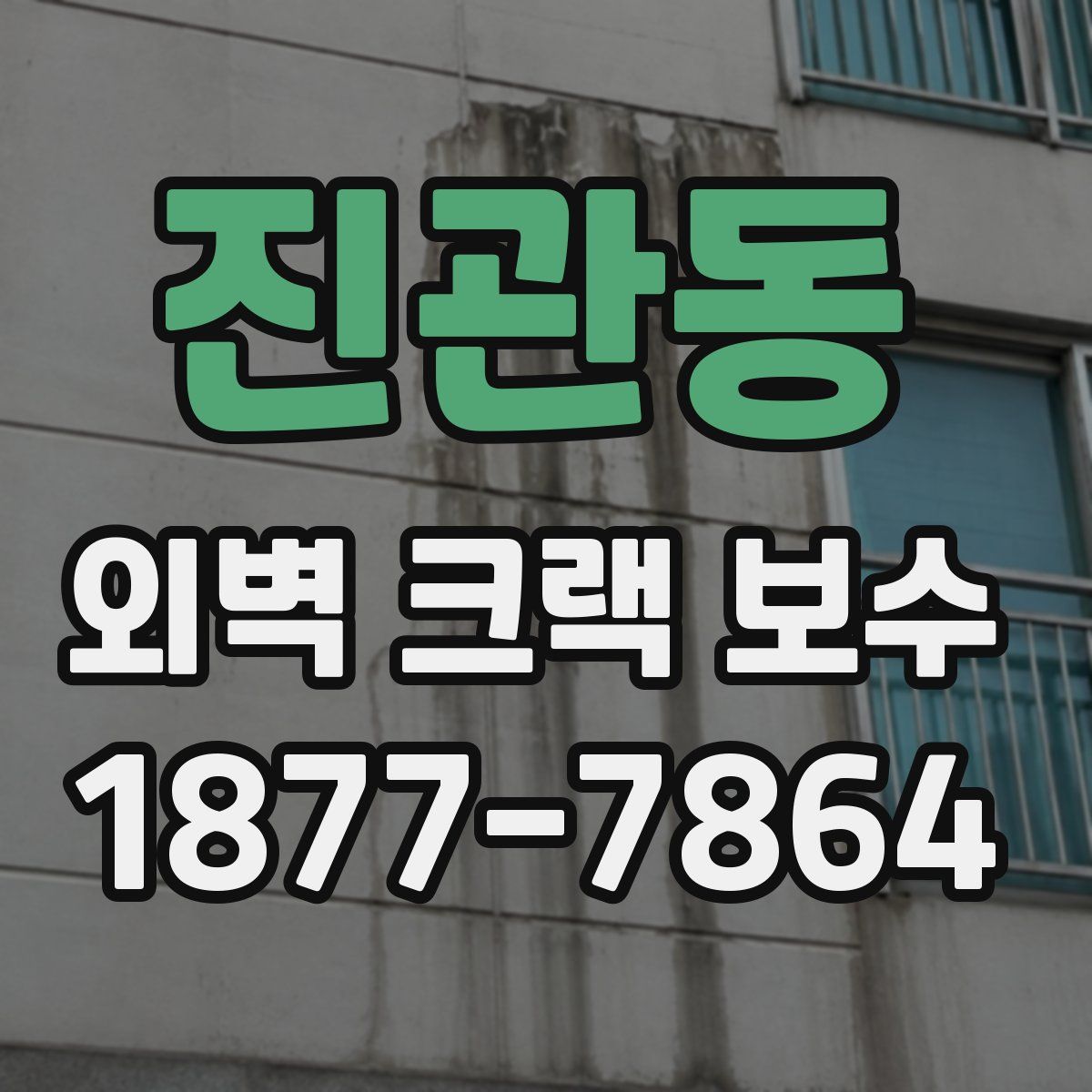 진관동 외벽 크랙 보수