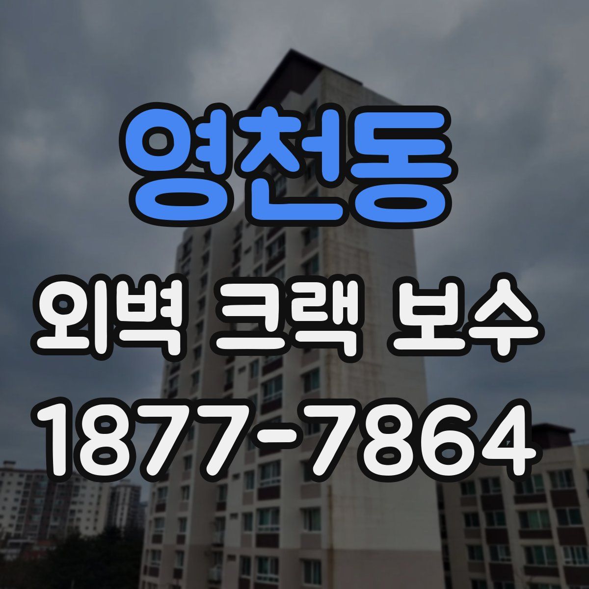 영천동 외벽 크랙 보수