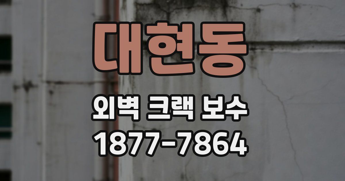 대현동 외벽 크랙 보수