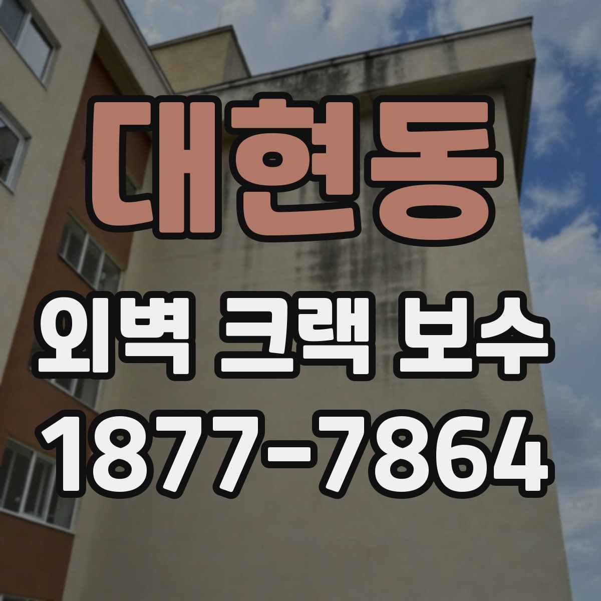 대현동 외벽 크랙 보수