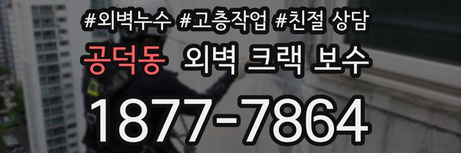 공덕동 외벽 크랙 보수