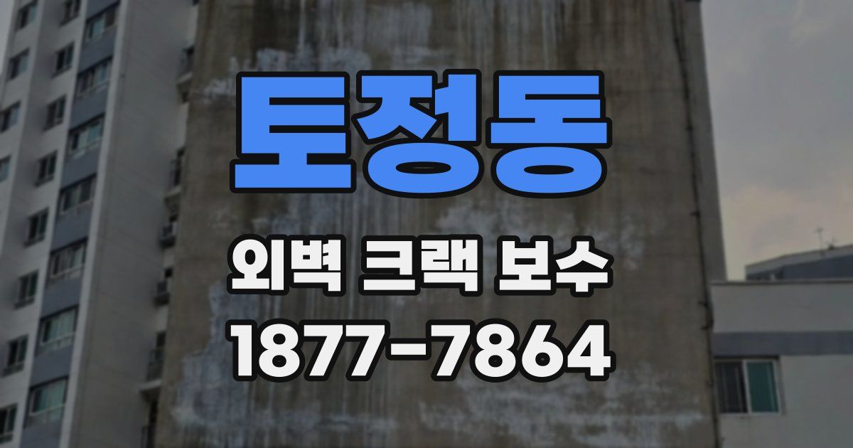 토정동 외벽 크랙 보수