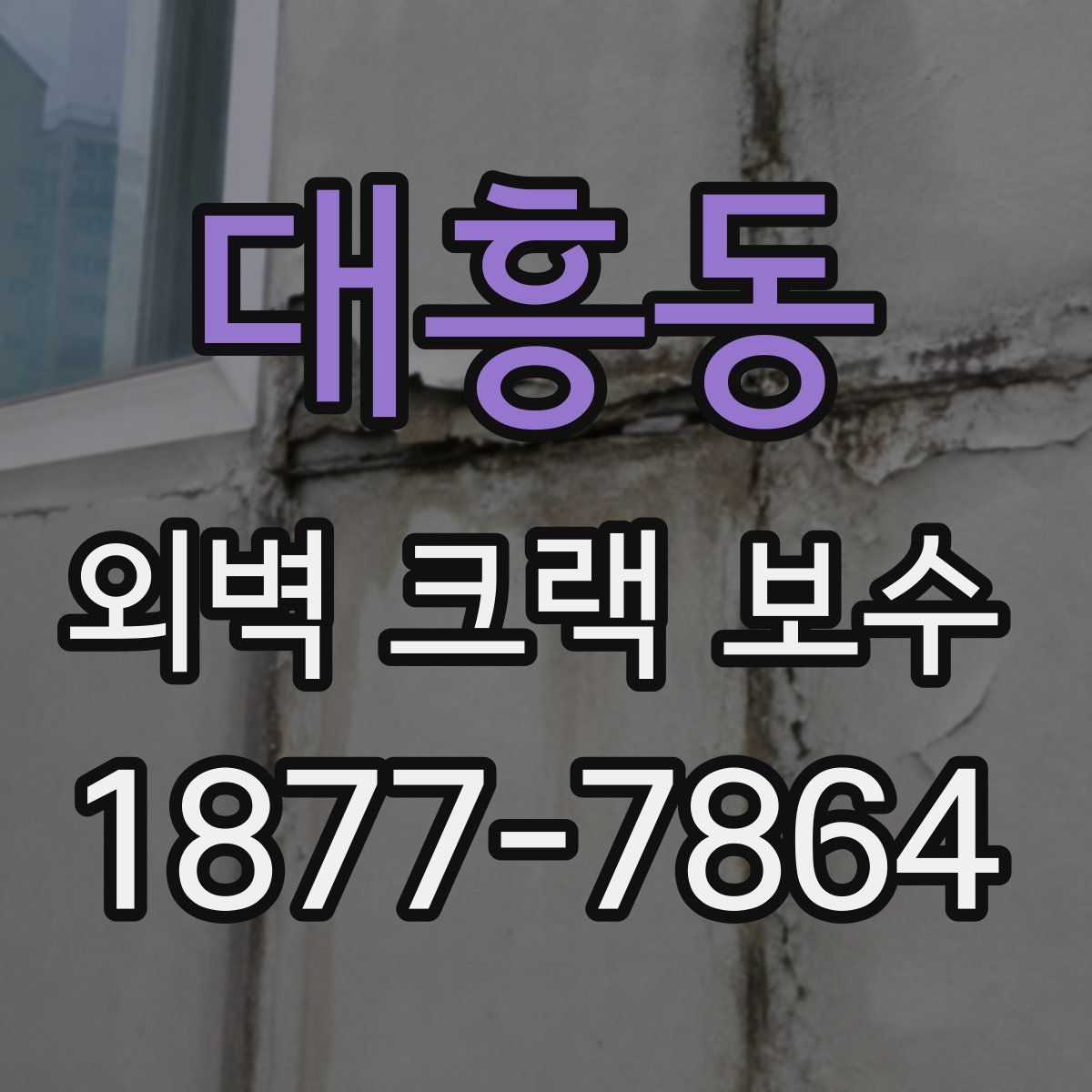 대흥동 외벽 크랙 보수