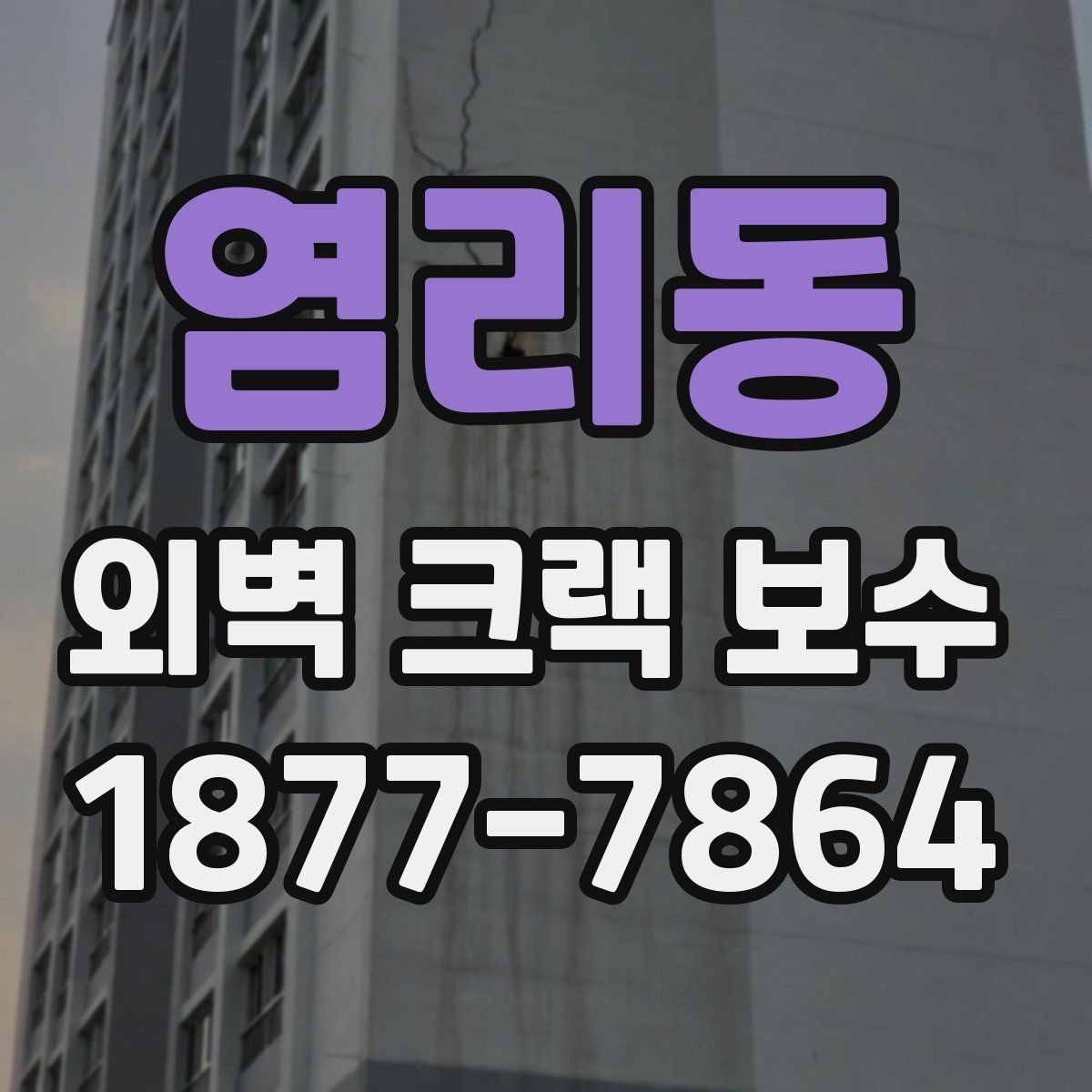 염리동 외벽 크랙 보수