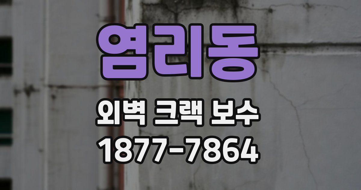 염리동 외벽 크랙 보수