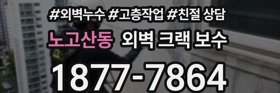 노고산동 외벽 크랙 보수