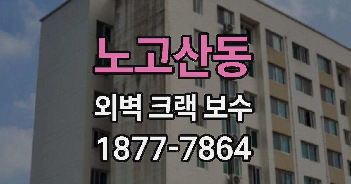노고산동 외벽 크랙 보수