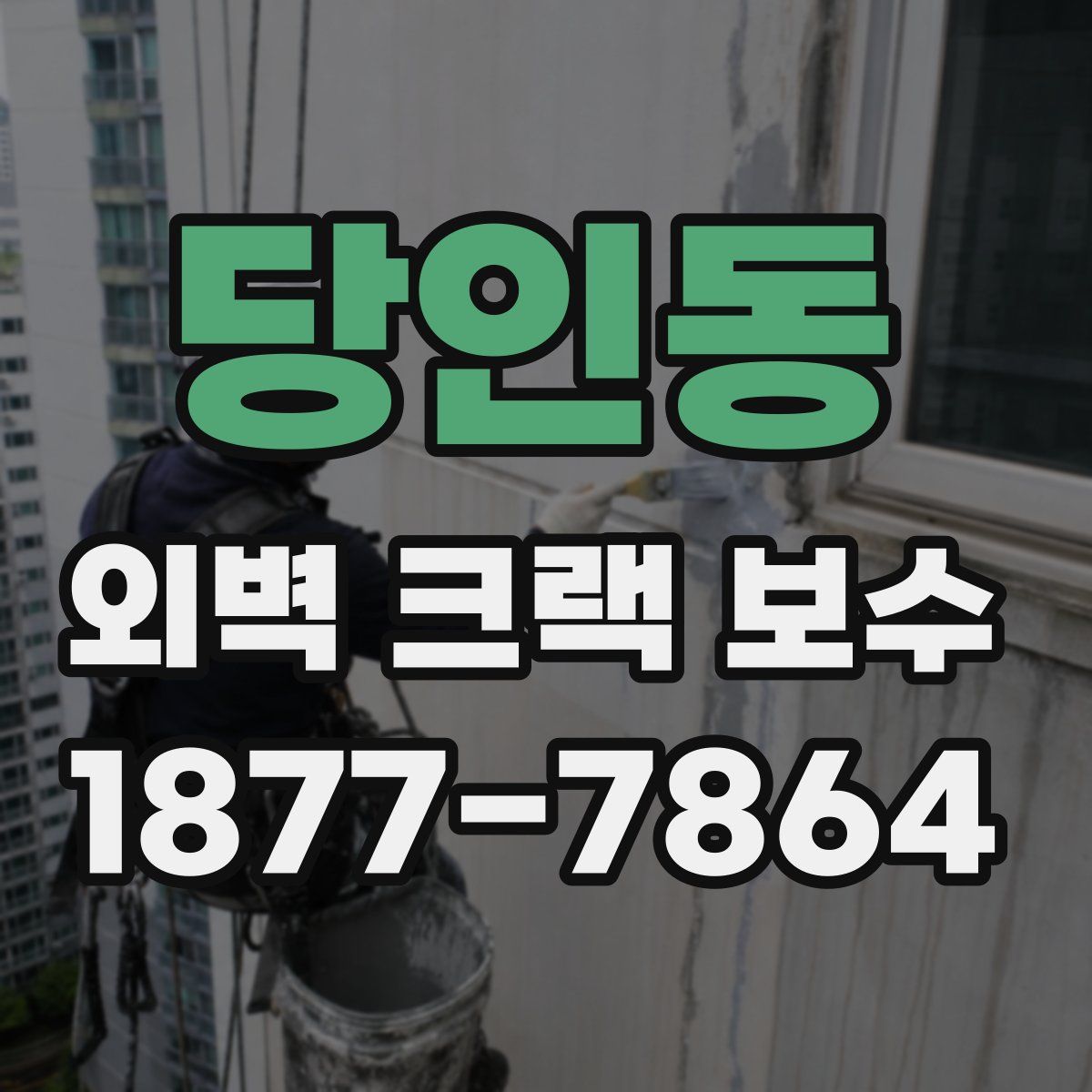 당인동 외벽 크랙 보수