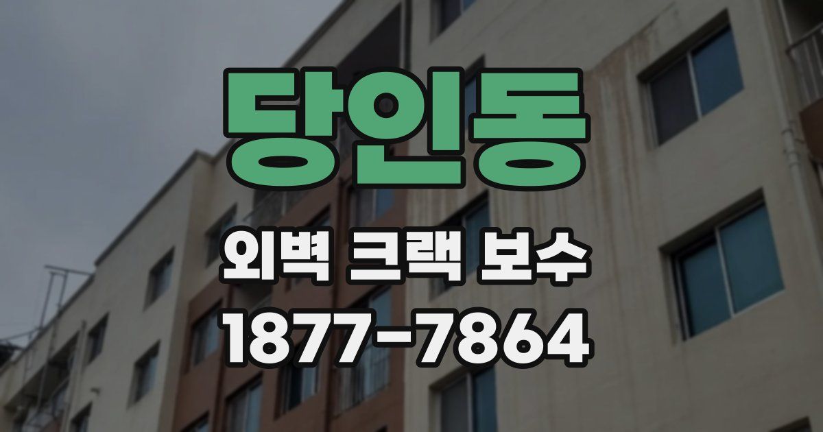 당인동 외벽 크랙 보수