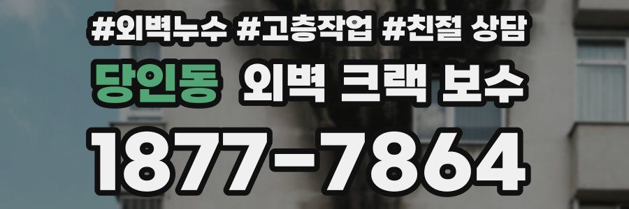 당인동 외벽 크랙 보수